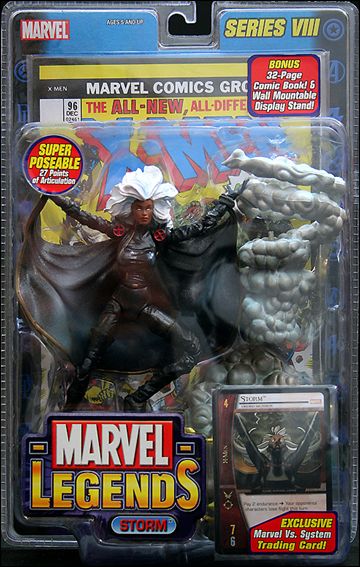 toybiz storm