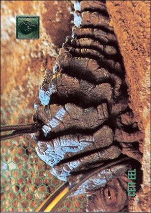 30 Years of Star Trek: Phase Two (Base Set) card 120 Ceti Eel