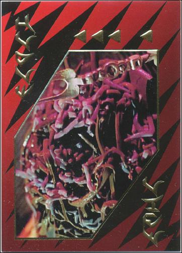 Star Trek: The Next Generation - The Episode Collection Season Four (Foil Embossed Subset) card S21 Klingon Food