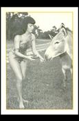 Bunny Yeager's Bettie Page (Base Set) card 40