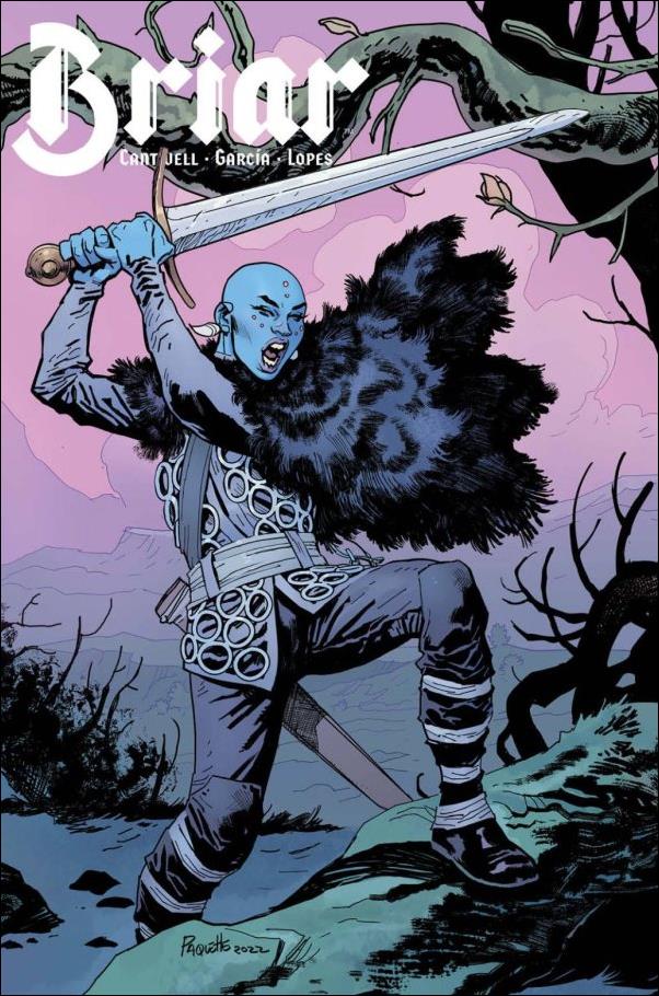Briar issue 2-B Yanick Paquette Cover