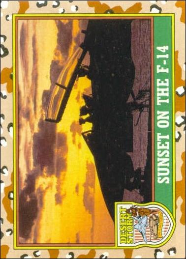Desert Storm: Series 1 (Base Set) card 86 Sunset on the F-14
