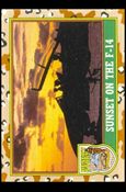 Desert Storm: Series 1 (Base Set) card 86 Sunset on the F-14