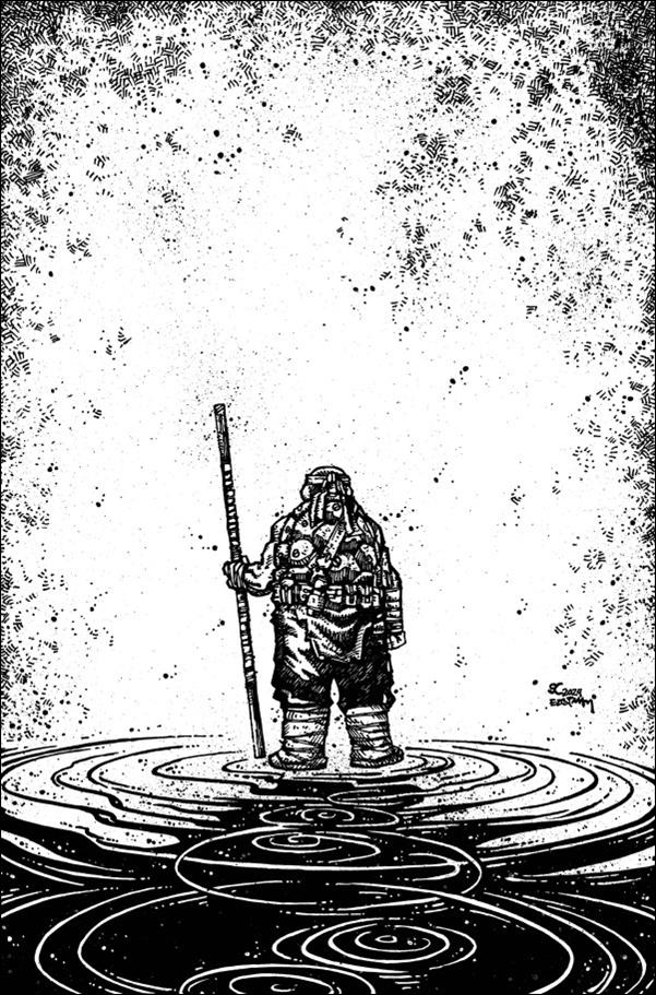 Teenage Mutant Ninja Turtles (2011) issue 150-H Sophie Campbell & Kevin Eastman B&W 1:50 Cover