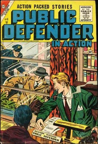 Public Defender in Action issue 8