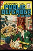 Public Defender in Action issue 8