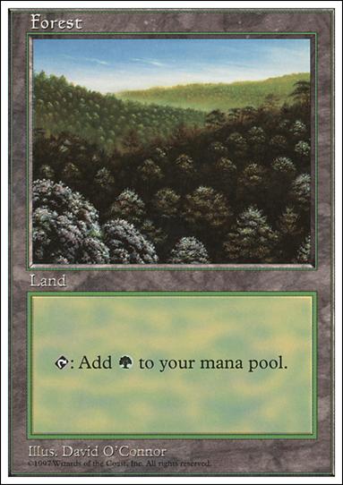 Magic the Gathering: 5th Edition (Base Set) card 434 Forest