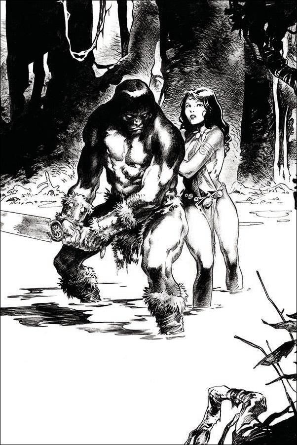 Cimmerian: Iron Shadows in the Moon issue 3-E Virginie Augustin 1:10 Virgin Cover