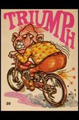 Silly Cycles (Base Set) card 39-B Triumph  (Fan Art on Back)