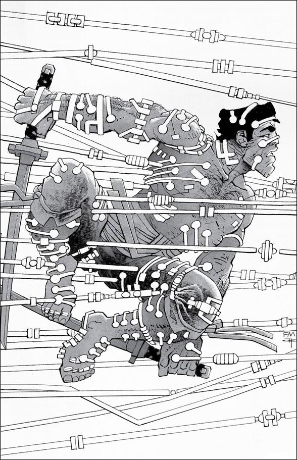 Ronin Book II issue 2-B Frank Miller 1:25 Wraparound Cover