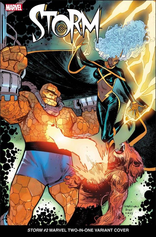 Storm (2024) issue 2-D Sara Pichelli Marvel Two-in-One Cover