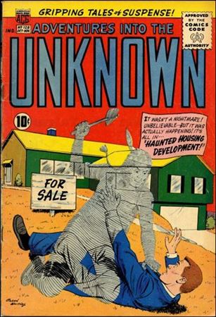 Adventures into the Unknown (1948) issue 128