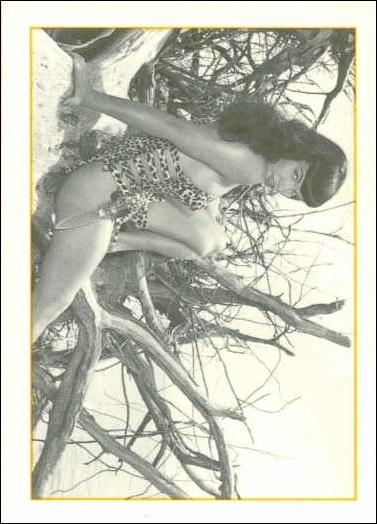 Bunny Yeager's Bettie Page (Base Set) card 8