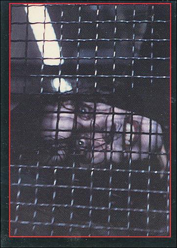 Crow: The Movie (Base Set) card 37 Sharing a Confidence