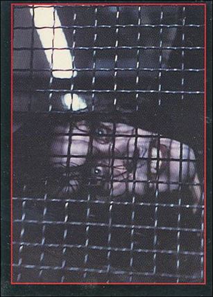Crow: The Movie (Base Set) card 37 Sharing a Confidence