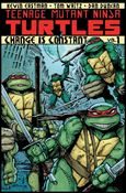 Teenage Mutant Ninja Turtles (2012) Cover Image 1