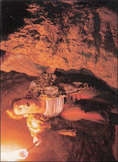 Ace Ventura: When Nature Calls (Base Set) card 47 Tinky