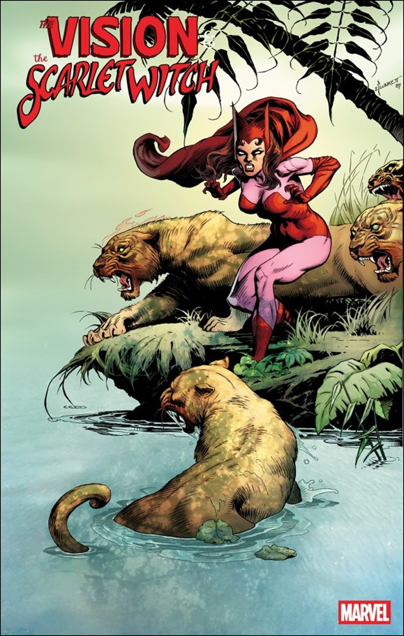 Vision & the Scarlet Witch (2025) issue 1-F Sandy Plunkett Hidden Gem 1:50 Cover