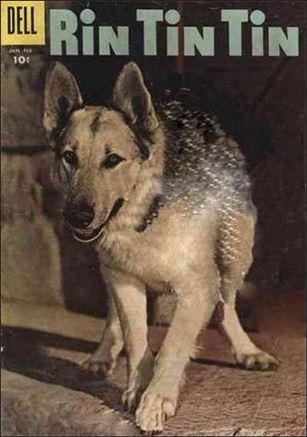 Rin Tin Tin issue 17