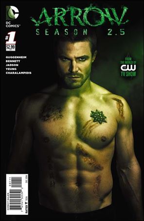 Arrow: Season 2.5 Cover Image 1
