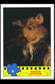 Teenage Mutant Ninja Turtles Movie (Base Set) card 6 Master Splinter