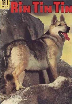 Rin Tin Tin issue 9