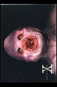 X-Files: Season Two (Promo) card P3
