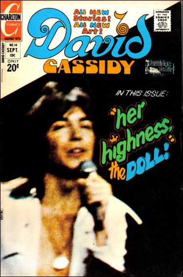 David Cassidy issue 14
