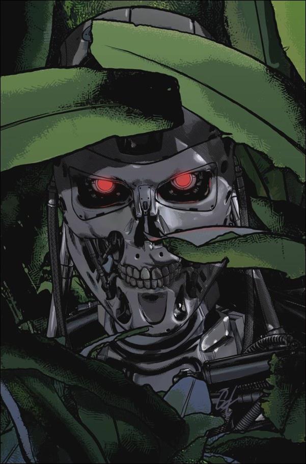 Terminator (2024) issue 3-N Cat Staggs Virgin 1:25 Cardstock Cover