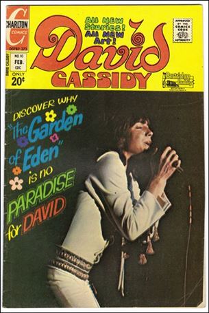 David Cassidy issue 10