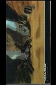 Star Wars: Episode I Widevision 3Di (Base Set) card 17
