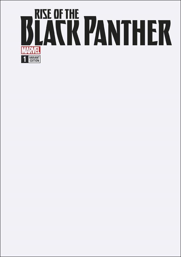 Rise of the Black Panther issue 1-C Blank/Sketch Cover