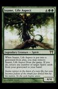 Magic the Gathering: Champions of Kamigawa (Base Set) card 215 Iname, Life Aspect