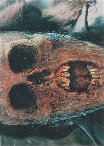 Mortal Kombat (Base Set) card 11 A Killer's Face