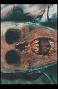 Mortal Kombat (Base Set) card 11 A Killer's Face