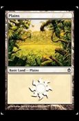 Magic the Gathering: Duel Decks: Ajani vs. Nicol Bolas card 40 Plains