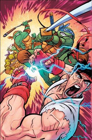 Teenage Mutant Ninja Turtles vs. Street Fighter issue 4-G Daniel Warren Johnson 1:250 Virgin Cover