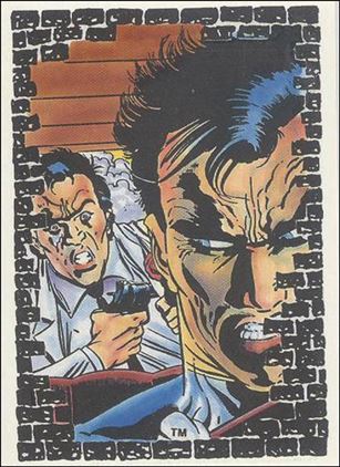 Punisher: The Whole Tough Tale (Base Set) card 24 The New Driver