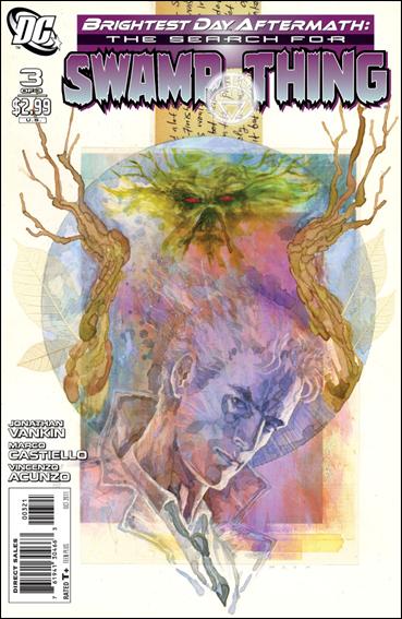 Brightest Day Aftermath: The Search for Swamp Thing issue 3-B David Mack 1:10 Cover