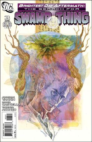 Brightest Day Aftermath: The Search for Swamp Thing issue 3-B David Mack 1:10 Cover