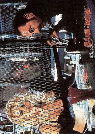 Barb Wire (Base Set) card 21 First Impressions