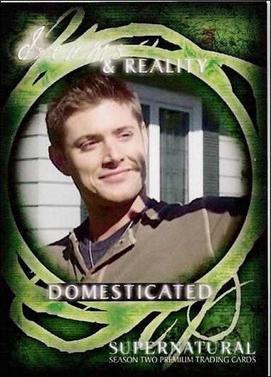 Supernatural: Season Two (Base Set) card 70 Domesticated