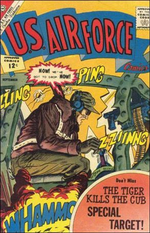 U.S. Air Force issue 23