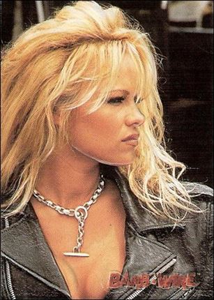 Barb Wire (Embossed Subset) Cover Image 2