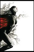 Miss Fury (2013) issue 1-G Alex Ross 1:25 Virgin Cover
