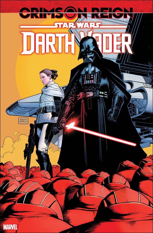 Star Wars: Darth Vader issue 22-C Raffaele Ienco 1:25 Cover