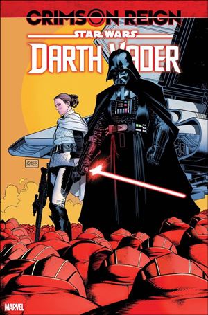 Star Wars: Darth Vader issue 22-C Raffaele Ienco 1:25 Cover