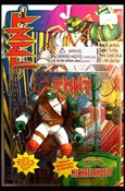 Jim Lee's TMNT figure 2 Michaelangelo
