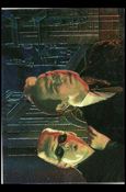 Batman Forever (Animaction Card Set) card 10