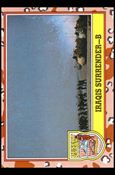 Desert Storm: Series 3 (Base Set) card 242
